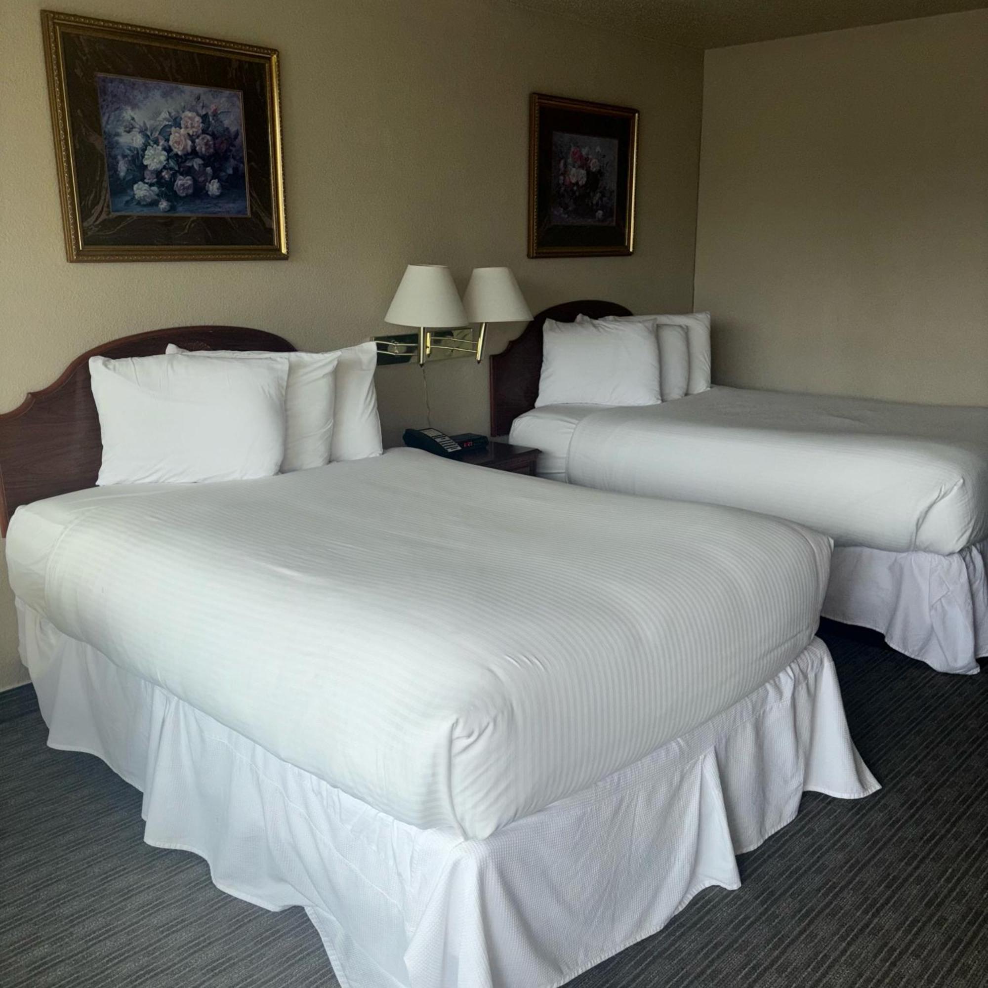 Unique Suites Hotel 찰스턴 외부 사진